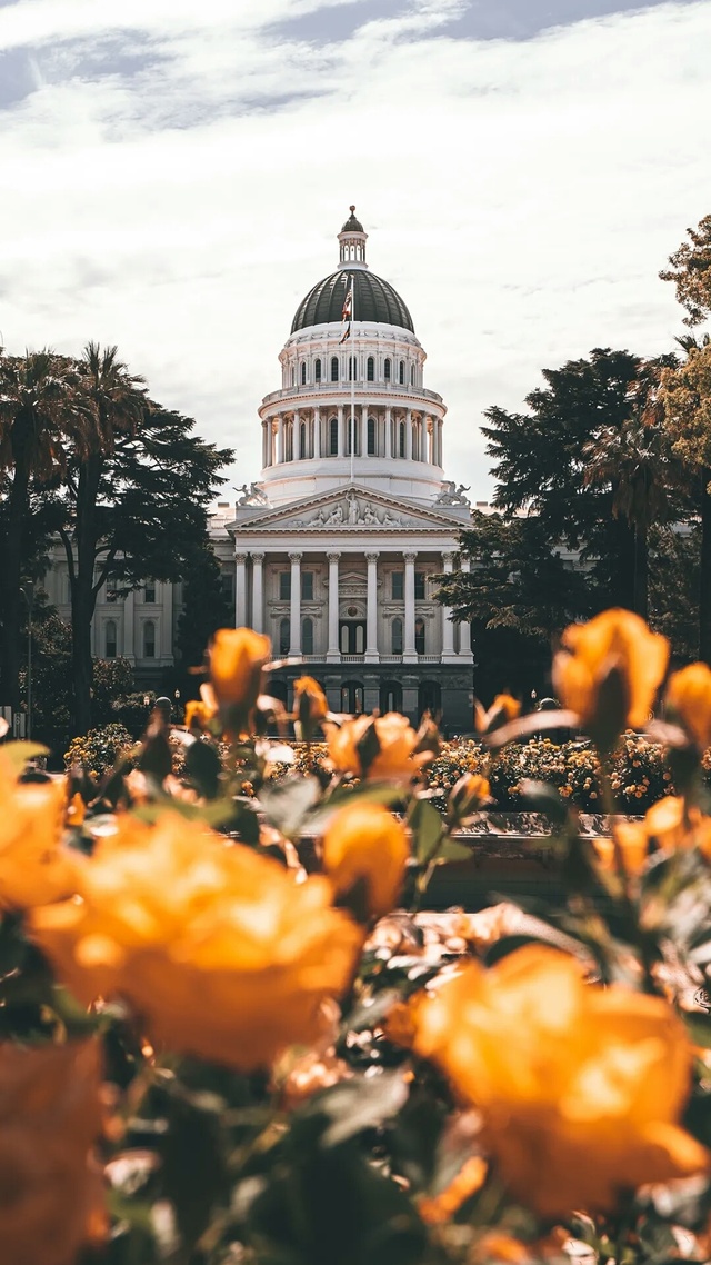 花園,建築美學