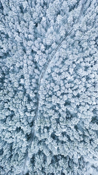 花草树木,雨雪气候