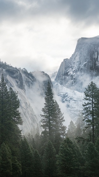 风景 森林 山脉 4K专区壁纸