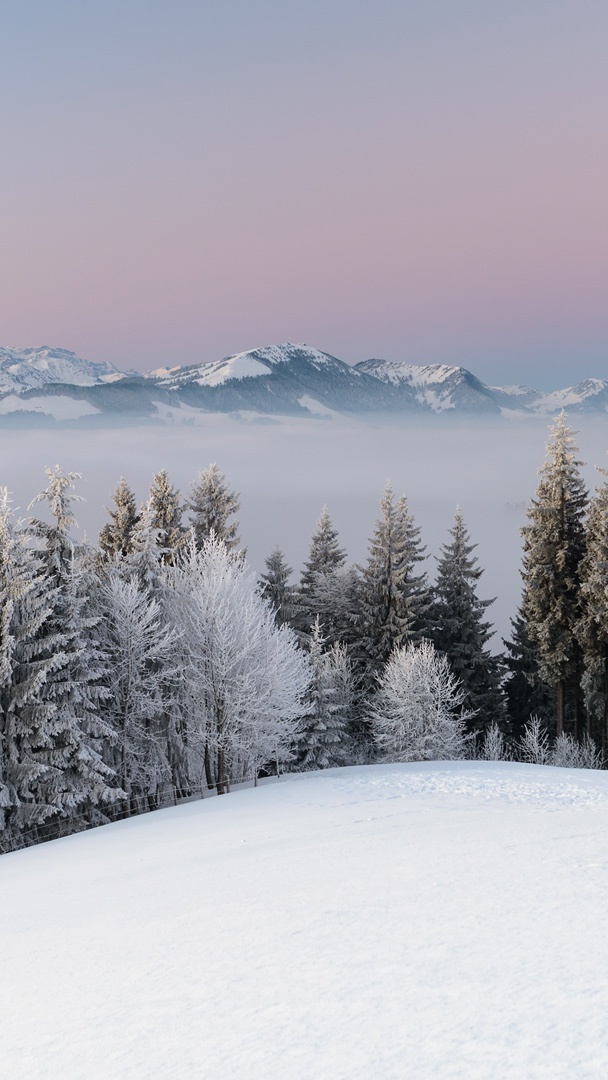 冬天雪雾山树木自然风景桌面壁纸壁纸 风景手机静态壁纸 风景手机壁纸下载 元气壁纸