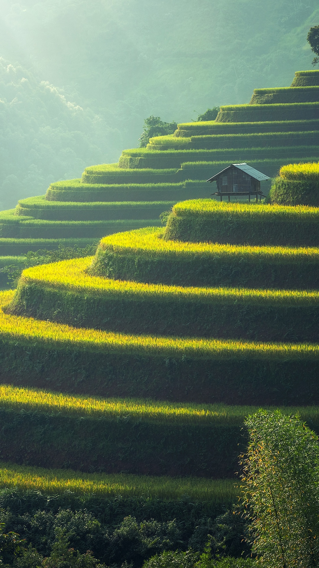 梯田,鄉村