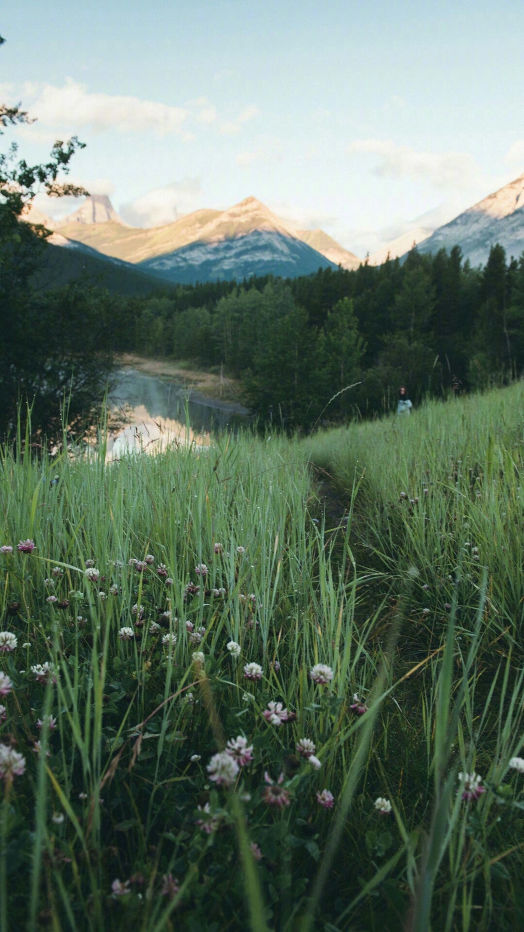 微信聊天背景超清山,花草樹木