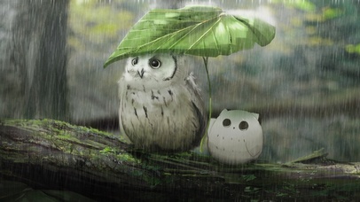 躲雨的猫头鹰