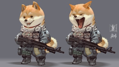 英气的柴犬宝宝