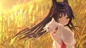 少女与猫