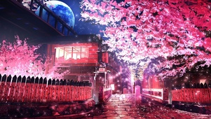 樱花夜晚