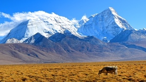 西藏风景
