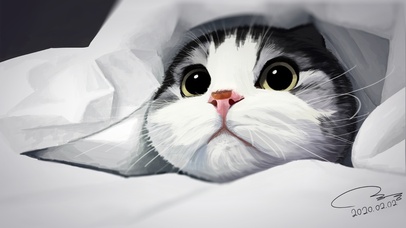 蓝白-美短-猫咪