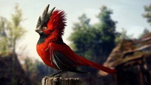 CD PROJEKT RED