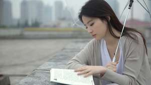 刘亦菲