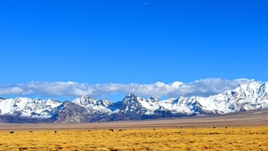 西藏风景