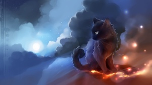 天空猫咪
