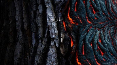 燃烧的树木
