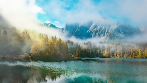 唯美湖景树林
