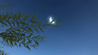 4K超清护眼风景