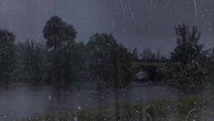 风雨雨滴屏