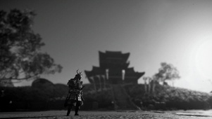 只狼 武士