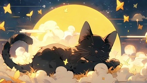 4K 黑猫