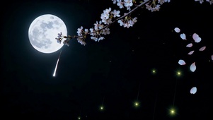 夜樱月流星火：治愈系的和风诗画