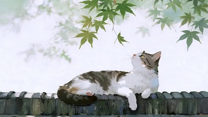 檐上悠闲小猫