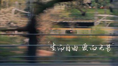 生而自由 爱而无畏