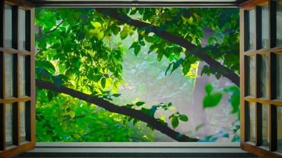 窗外春天清新绿树