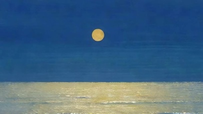 大海带鱼屏