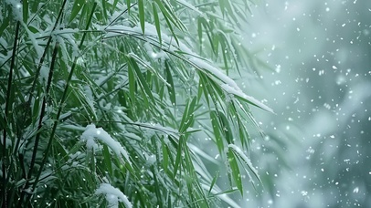 雪中竹林