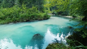 碧水森林