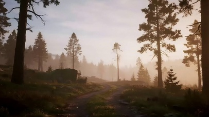 日出阳光森林小径