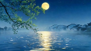 夜景树木河流