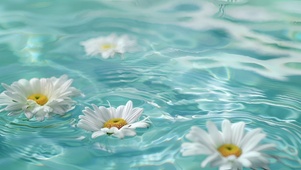 水中小花