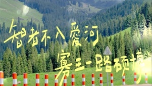 智者不入爱河铁锅只炖大鹅