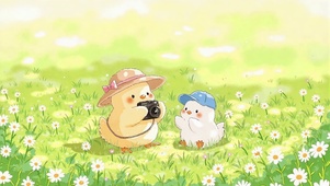 春野留影可爱小鸡