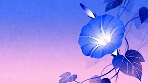 喇叭花