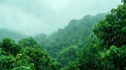 护眼雨天