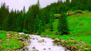 山涧绿林河流