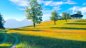 移动城堡里的风景