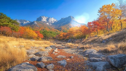 蓝天阳光枫林小径