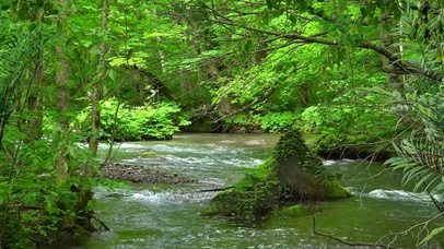 绿林山涧河流