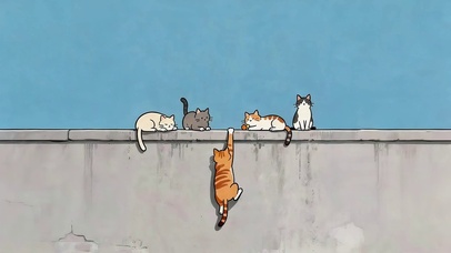 顽皮的猫咪