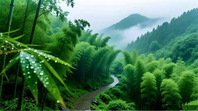 绿色护眼森林