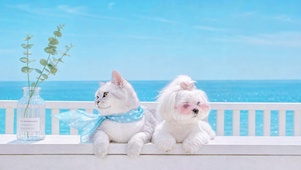 海边时尚萌宠