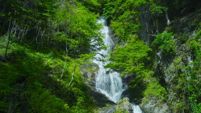 高山绿林瀑布