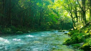 潺潺流水
