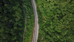 4K 高清 俄罗斯索契的森林