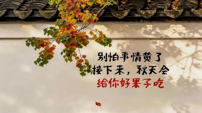 秋天墙角树叶