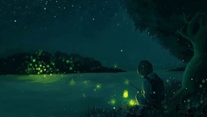 夜晚的萤火虫