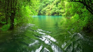 绿水青山