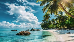 自然椰林海滩